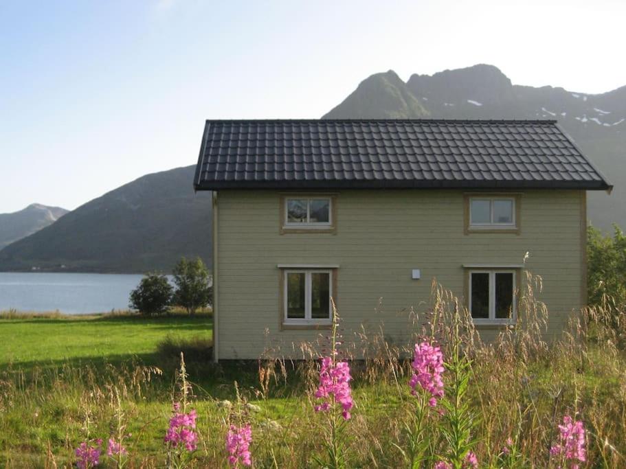 Charming house by the sea, Lofoten!