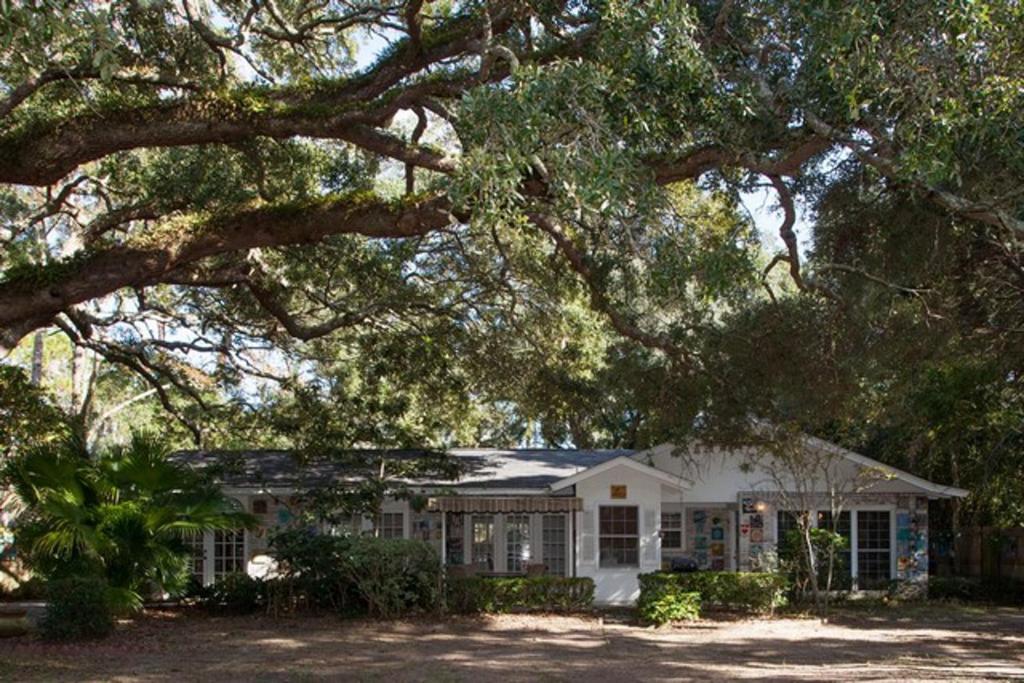 PELICAN HOUSE home photo 1