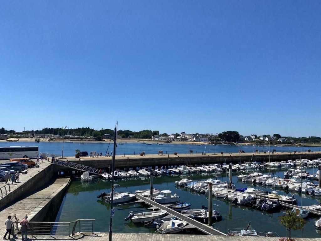 Appartement Étel, 1 pièce, 3 personnes - FR-1-397-51