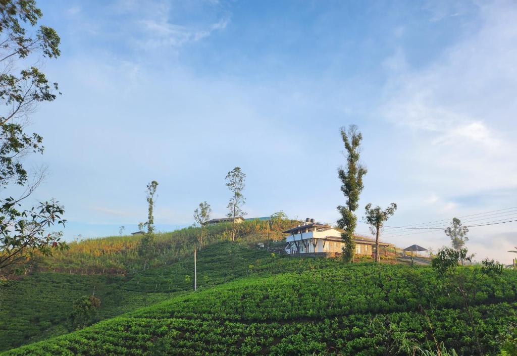 Tranquil Ridge Hilltop Bungalow