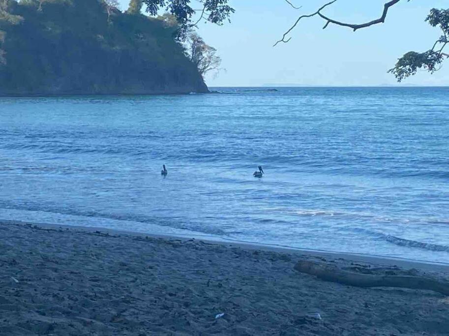 Villa Lapa photo 1