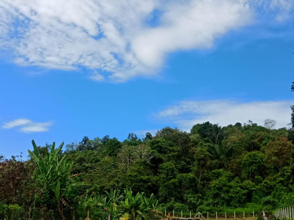 Kuntum Cottage Bad & Breakfast photo 3