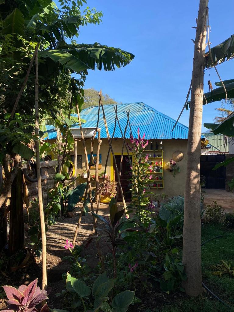 Banana shade hostel