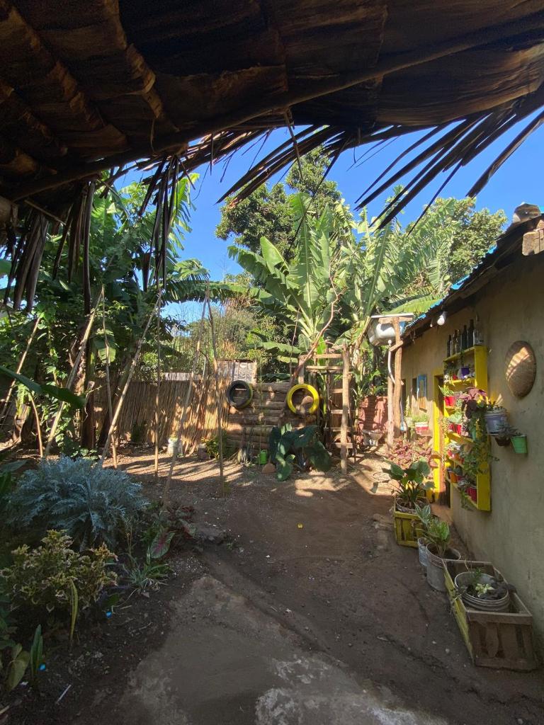 Banana shade hostel photo 4