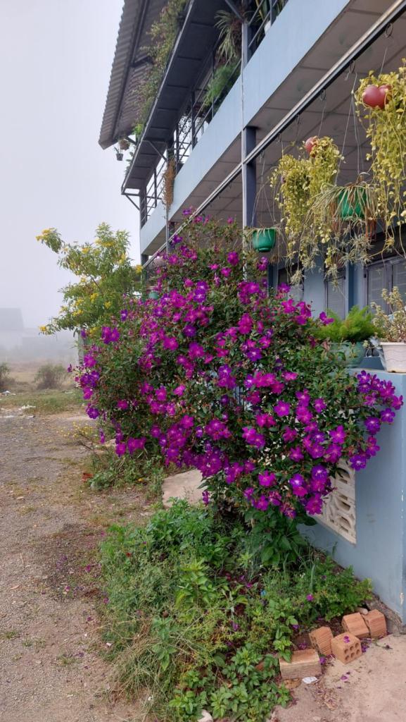 Family homestay Bảo Lộc