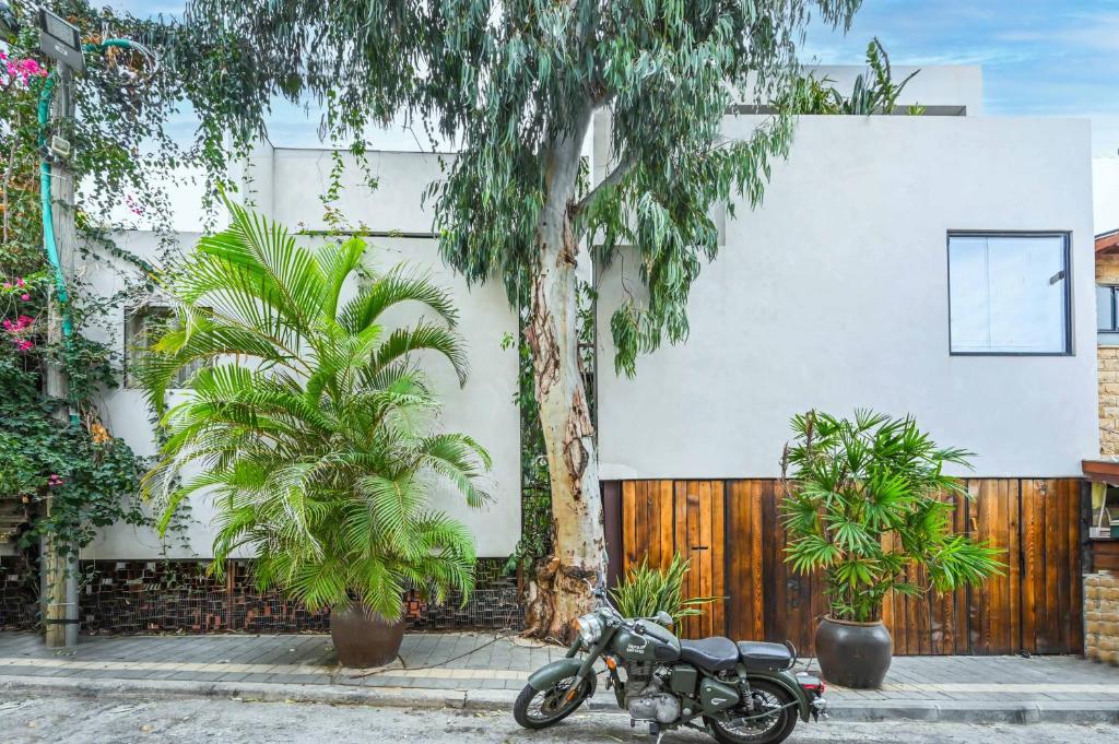 The Eucalyptus Mansion by HolyGuest photo 4