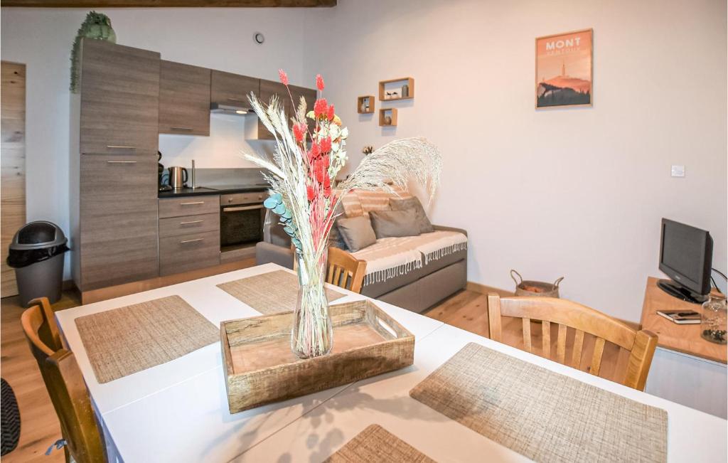 Nice Home In Malaucne With Jacuzzi, Wifi And 1 Bedrooms photo 3