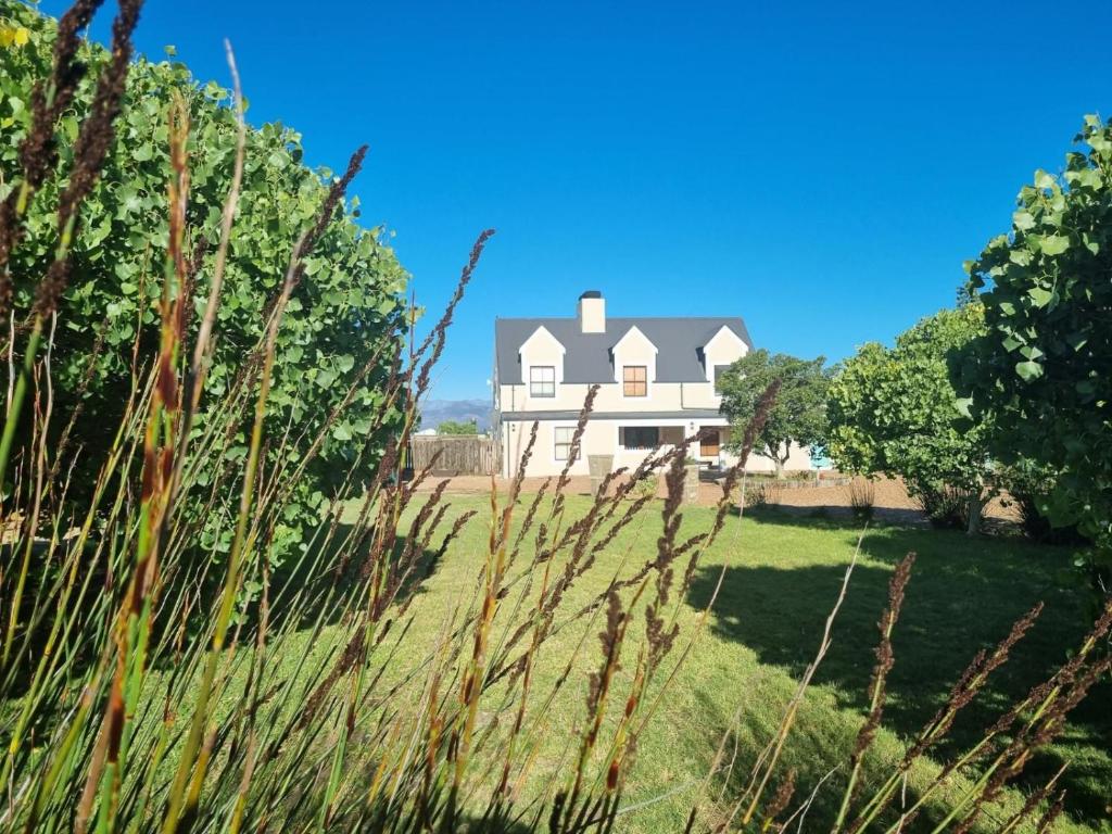 Country Living photo 3