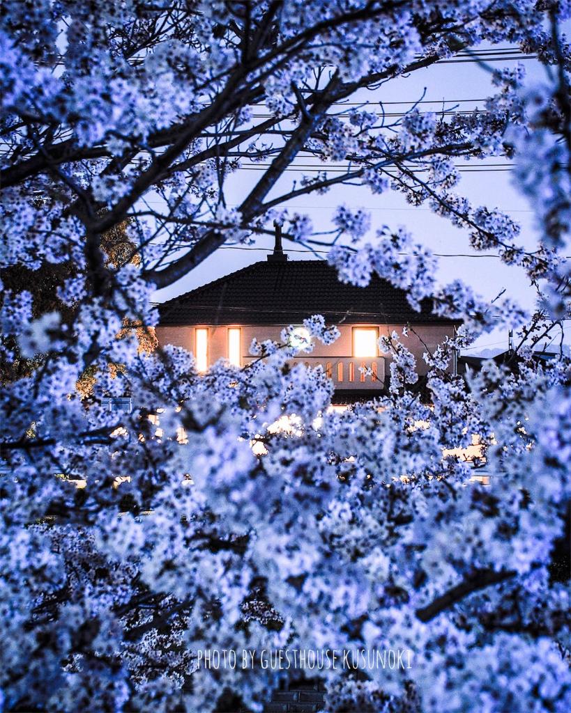 Guest house kusunoki（women only） photo 3