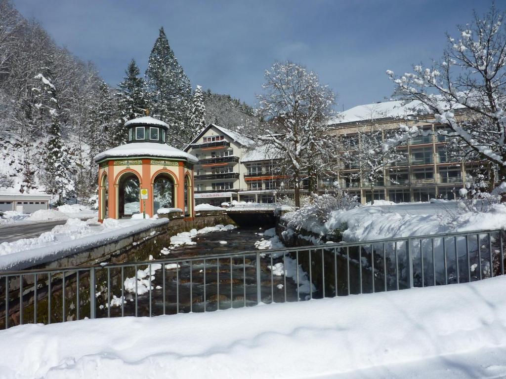 GesundheitsHotel Das Bad Peterstal photo 1