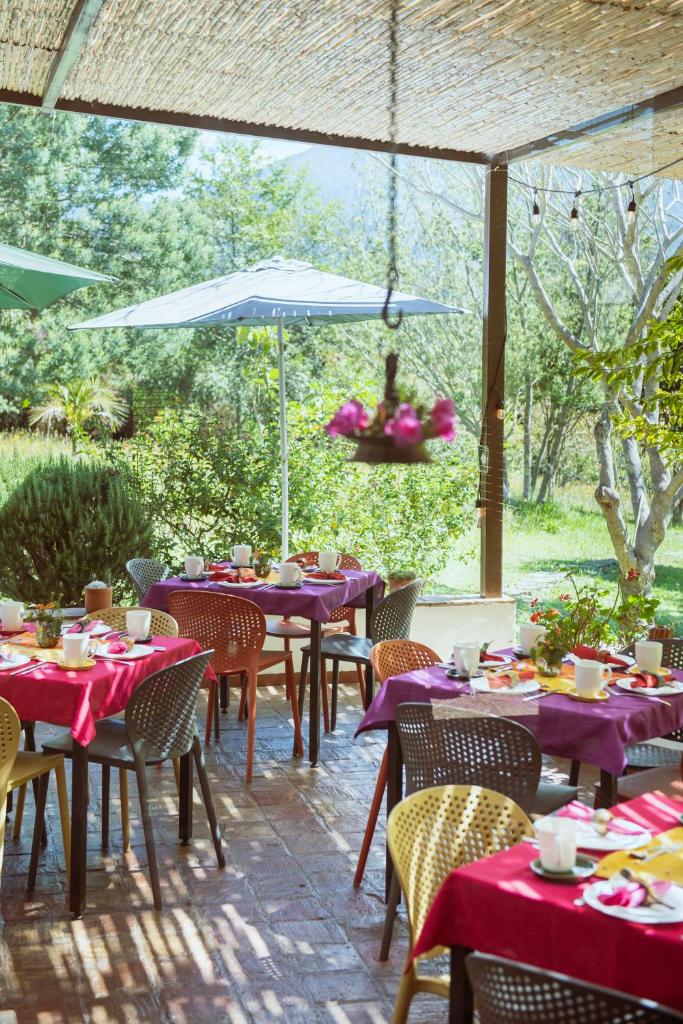 PASSADHI Ayurveda & Yoga Retreat photo 3