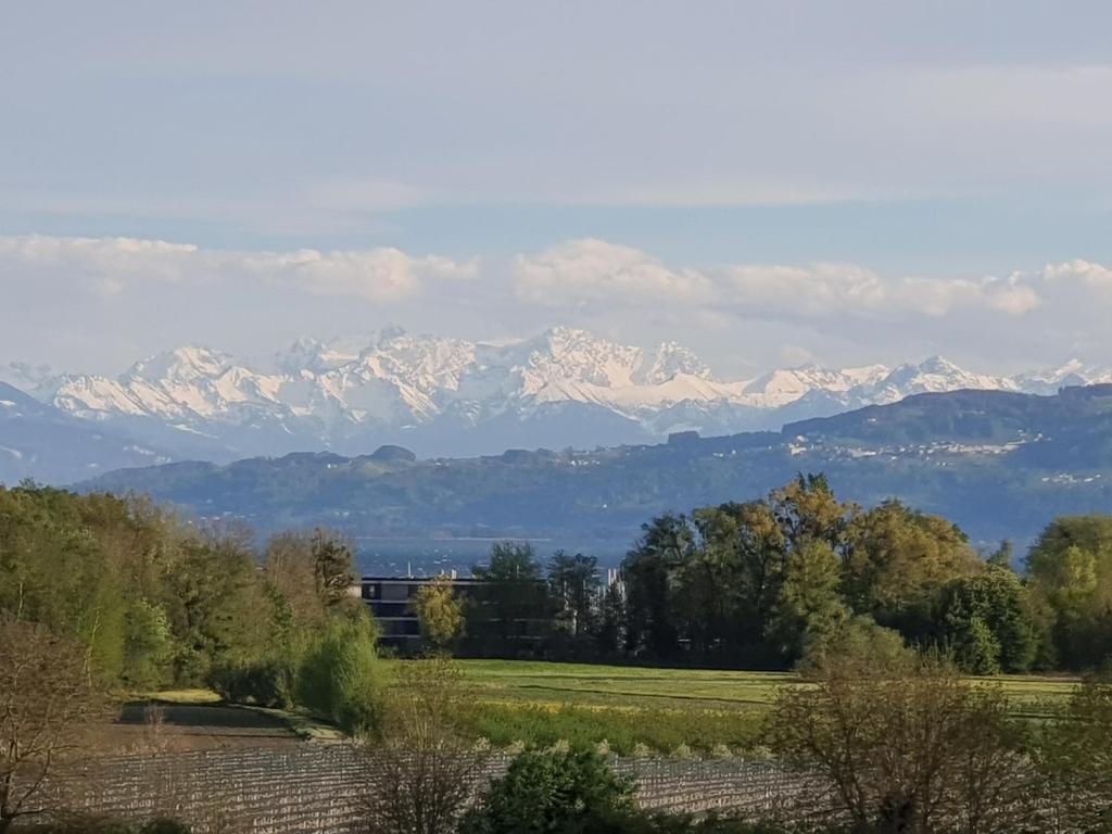 Penthouse: Berg- und Seesicht photo 4