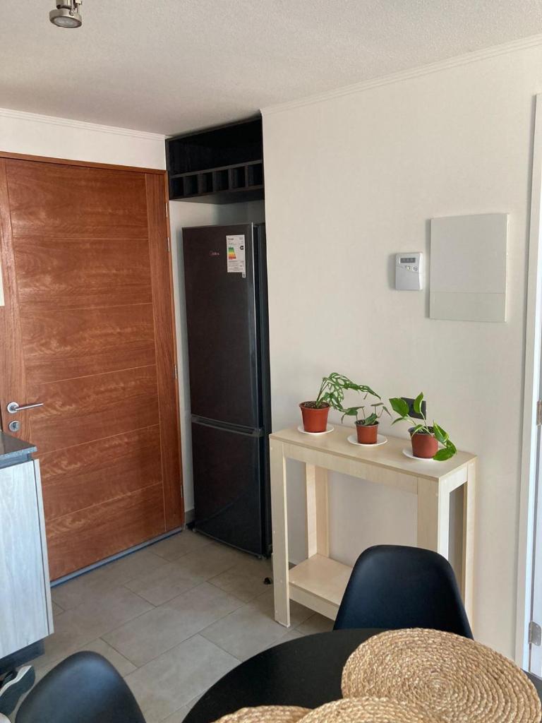 Departamento Central Valdivia photo 4