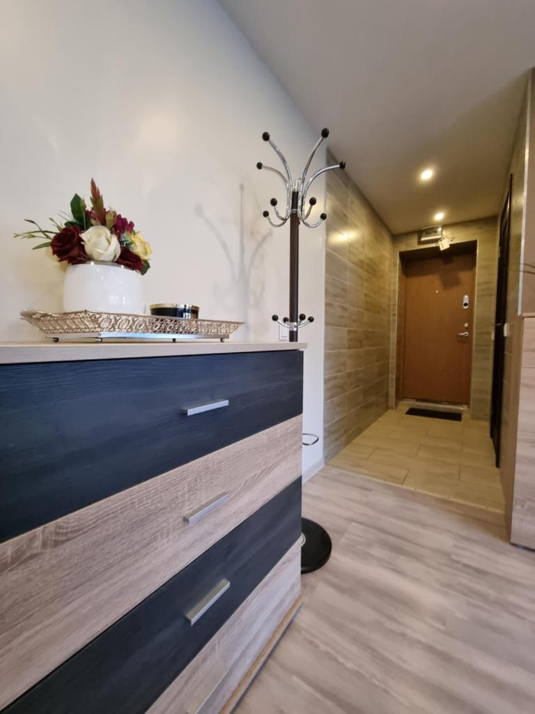 Aurimas Apartments photo 4
