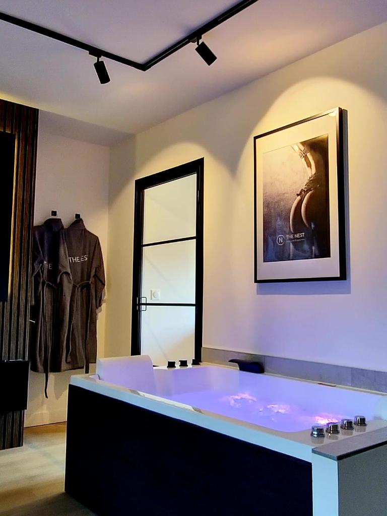 The Nest. duplex jacuzzi hyper centre de Senlis photo 3