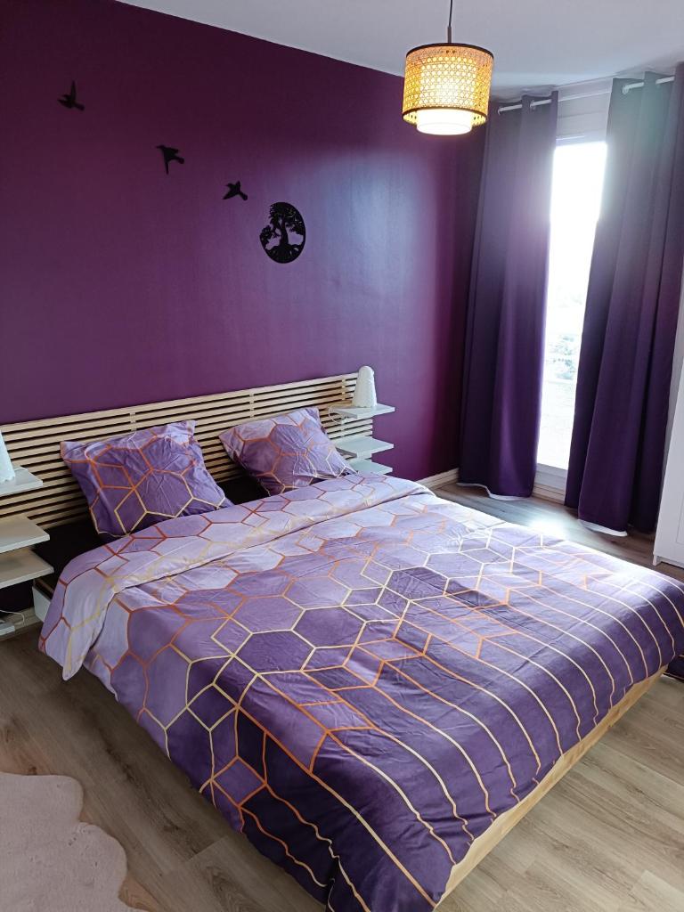 Super appartement 6 voyageurs hyper centre photo 4