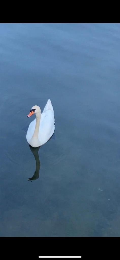 Lake House Buric photo 4