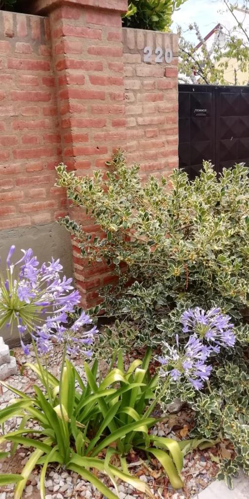 COMO EN CASA photo 3