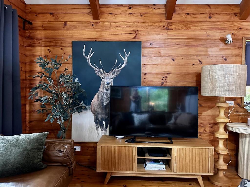Kangaroo Valley Timber Cabin photo 3