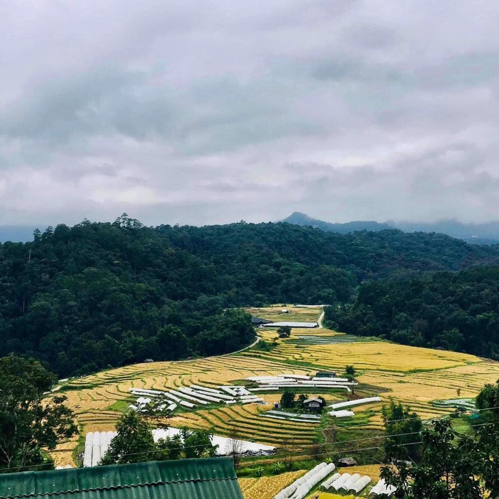 Motho Homestay โมโทโฮมสเตย์ photo 1