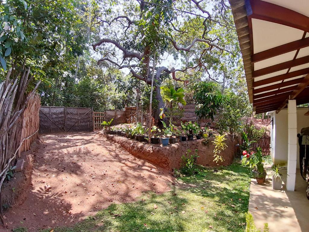 Cashew Villa Hiriketiya photo 3