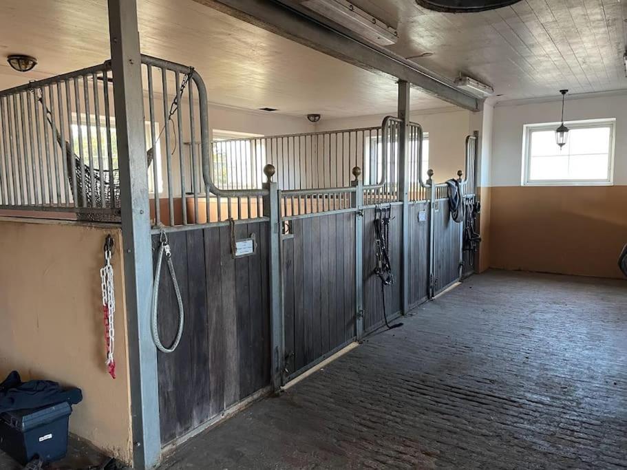 New and cosy apartment on a farm photo 4