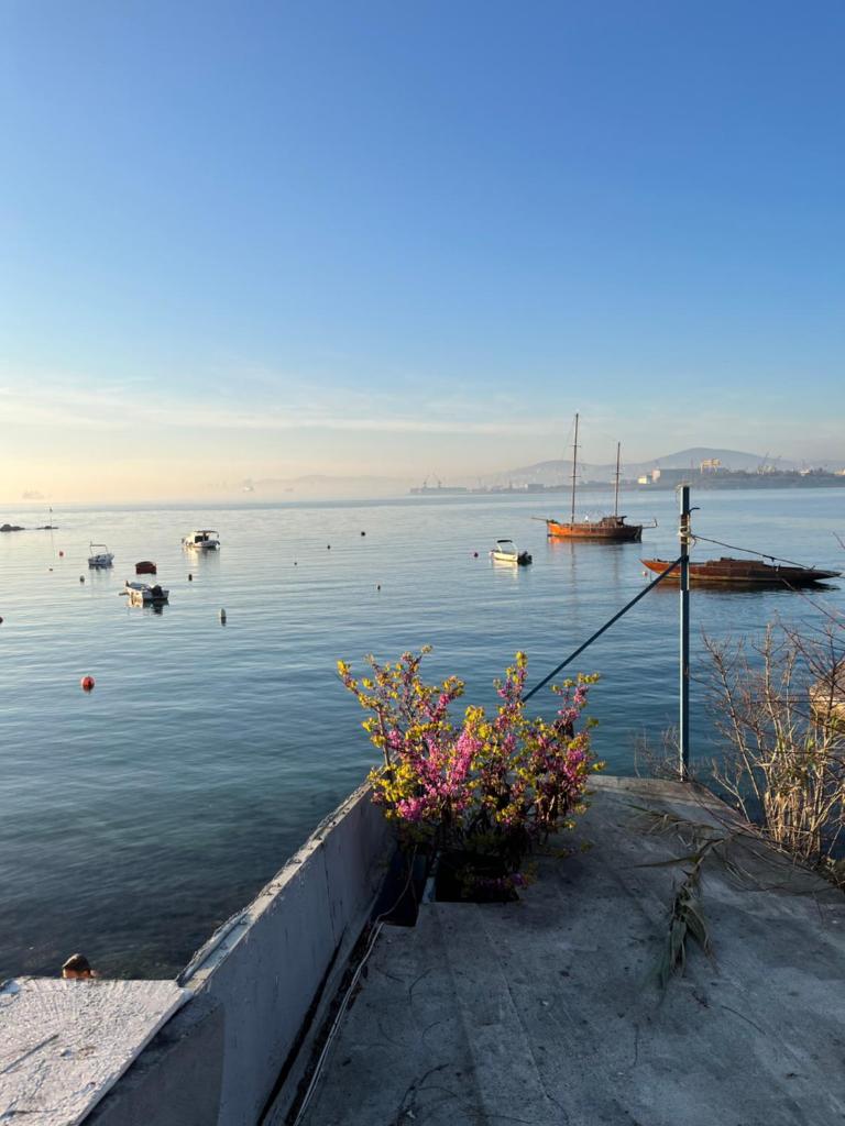 Tuzla Yacht Club photo 3