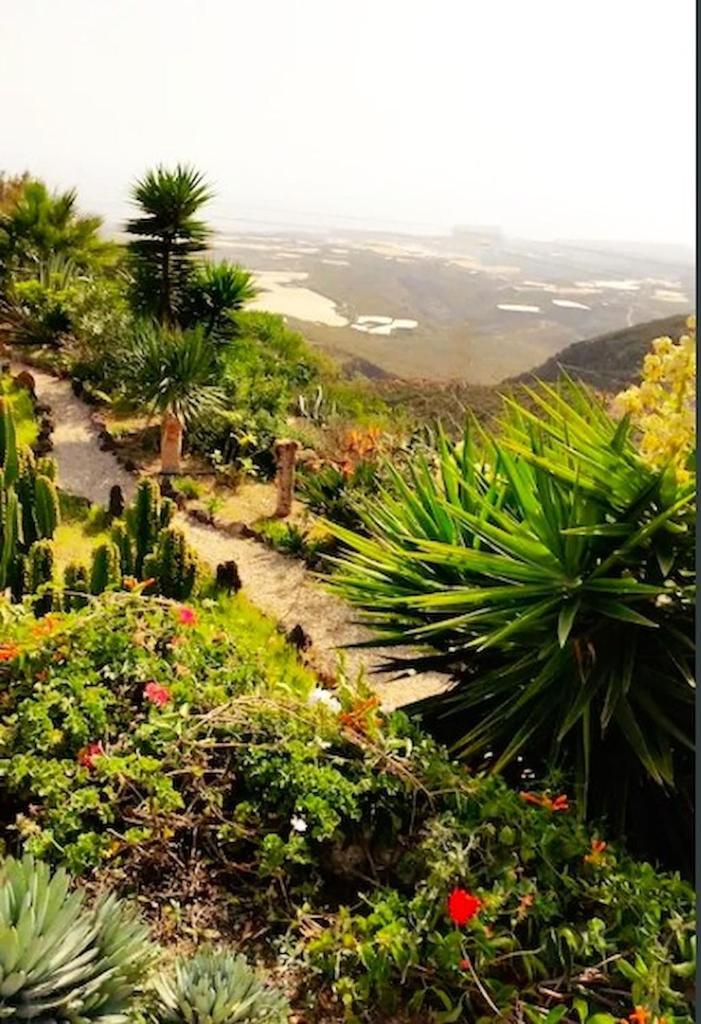 Finca Aurora quiet holiday flat with pool and great mountain and sea views photo 2