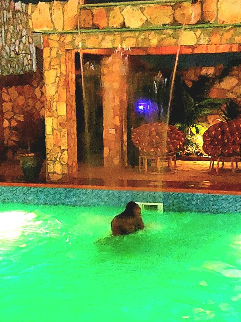 Blue Palm Resort Ghana photo 3
