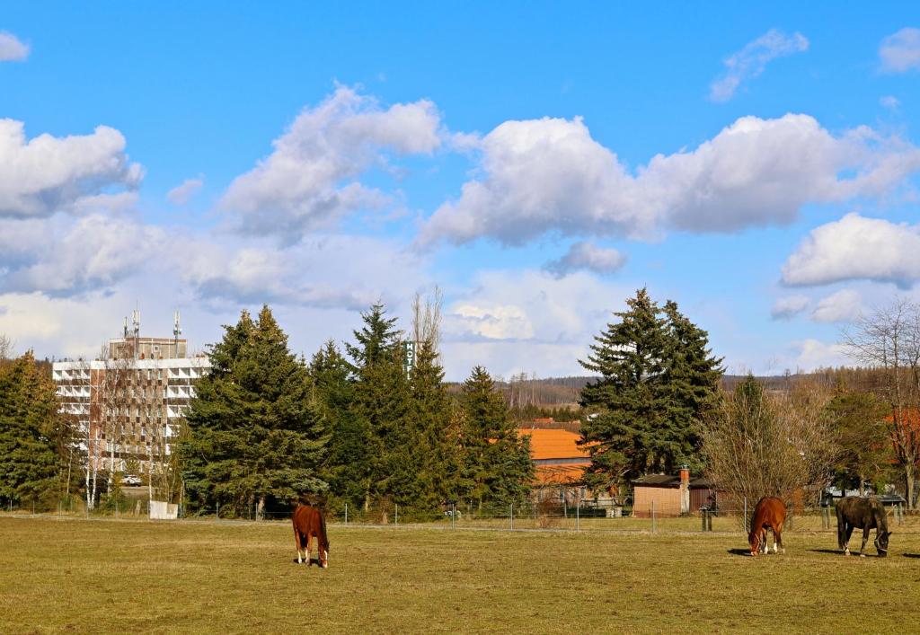 Carea Harz Hotel Allrode photo 2
