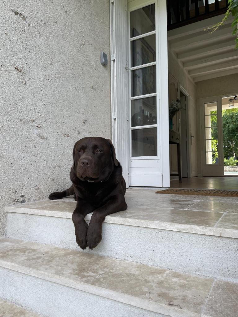 Villa Cassandre photo 2
