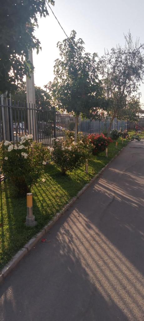 Esperanza photo 3