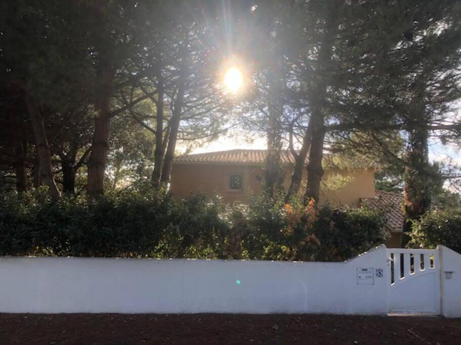 Villa Arethuse - Pyla sur Mer photo 4