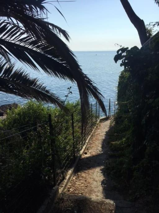 New suite sul mare N. 2 photo 2