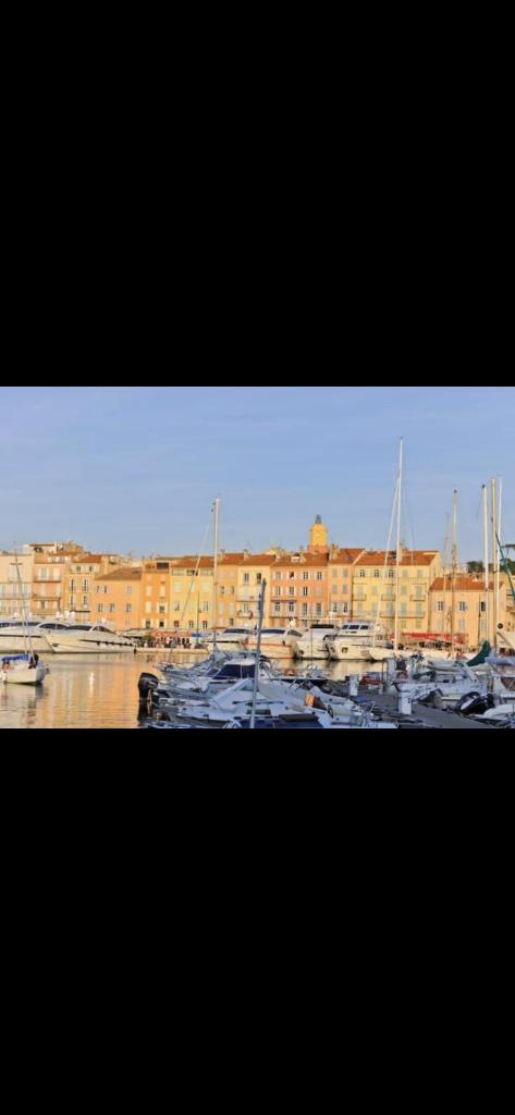 LA DOLCE VITA MAZET A GASSIN GOLFE DE SAINT TROPEZ photo 2