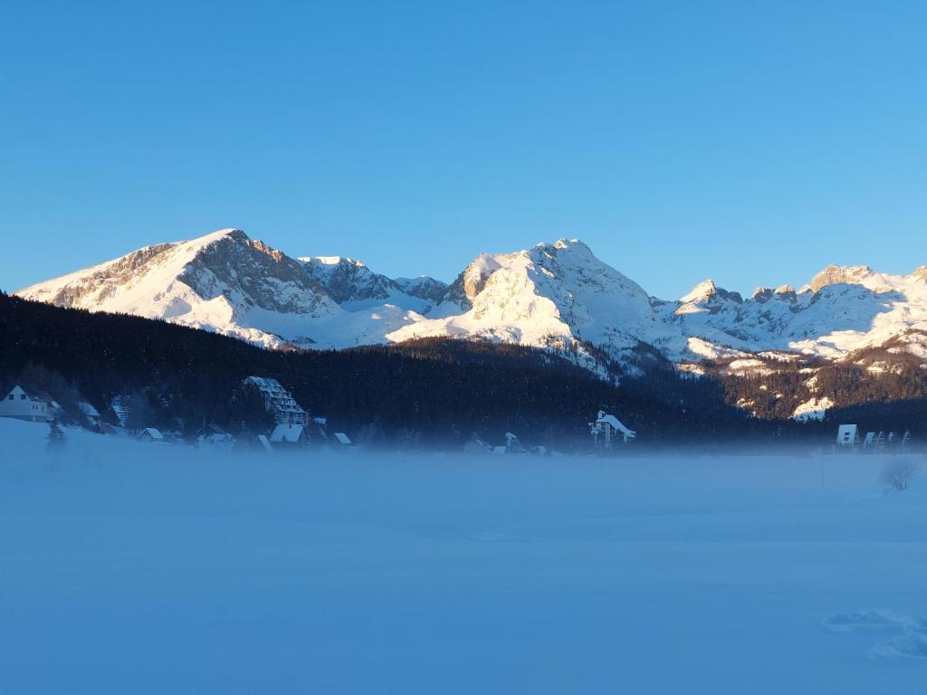 Šumski raj photo 1