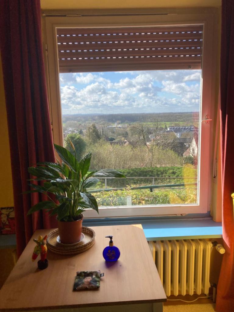 Viva la Frida! Kamer voor rust en bezinning