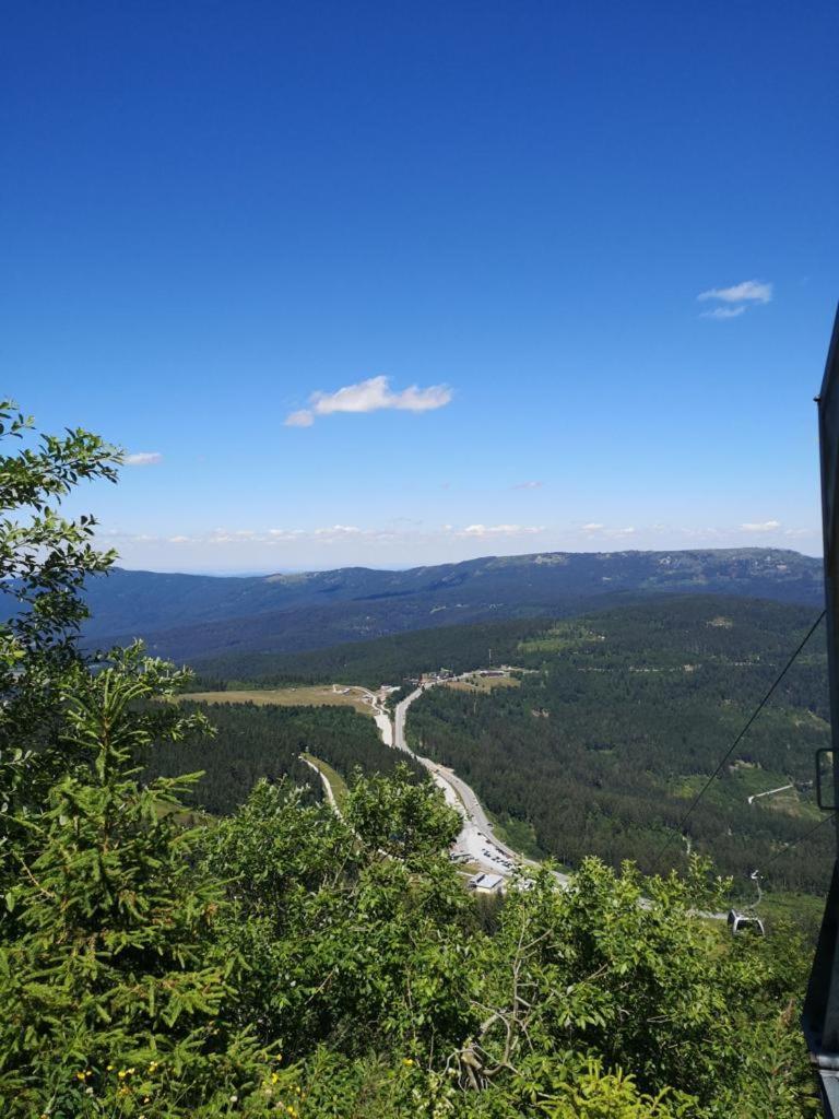 Idyllisch gelegene Ferienwohnung im Herzen des bayerischen Waldes photo 3