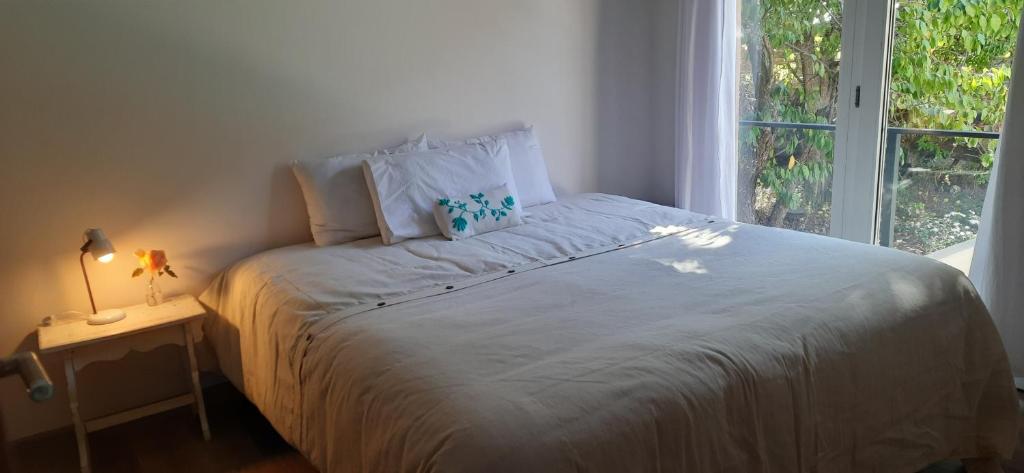 Depto Lácar Suites photo 4