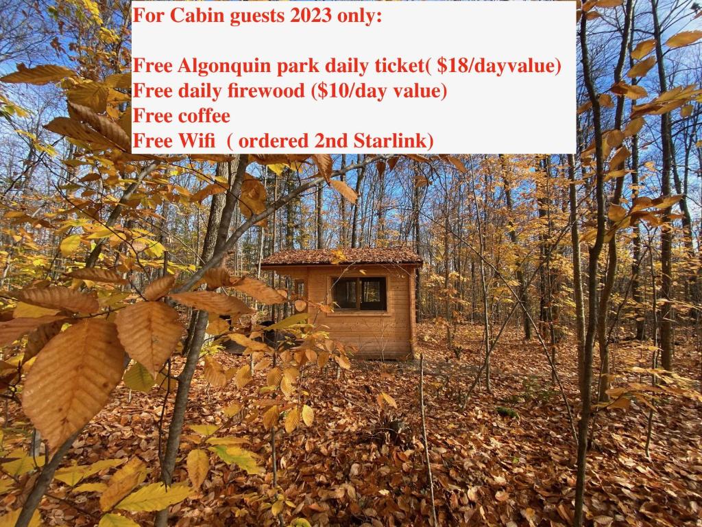Algonquin Madawaska Lodge Cottage Glamping Cabins photo 1