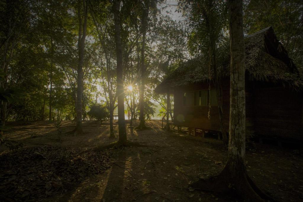 Majacho`s House