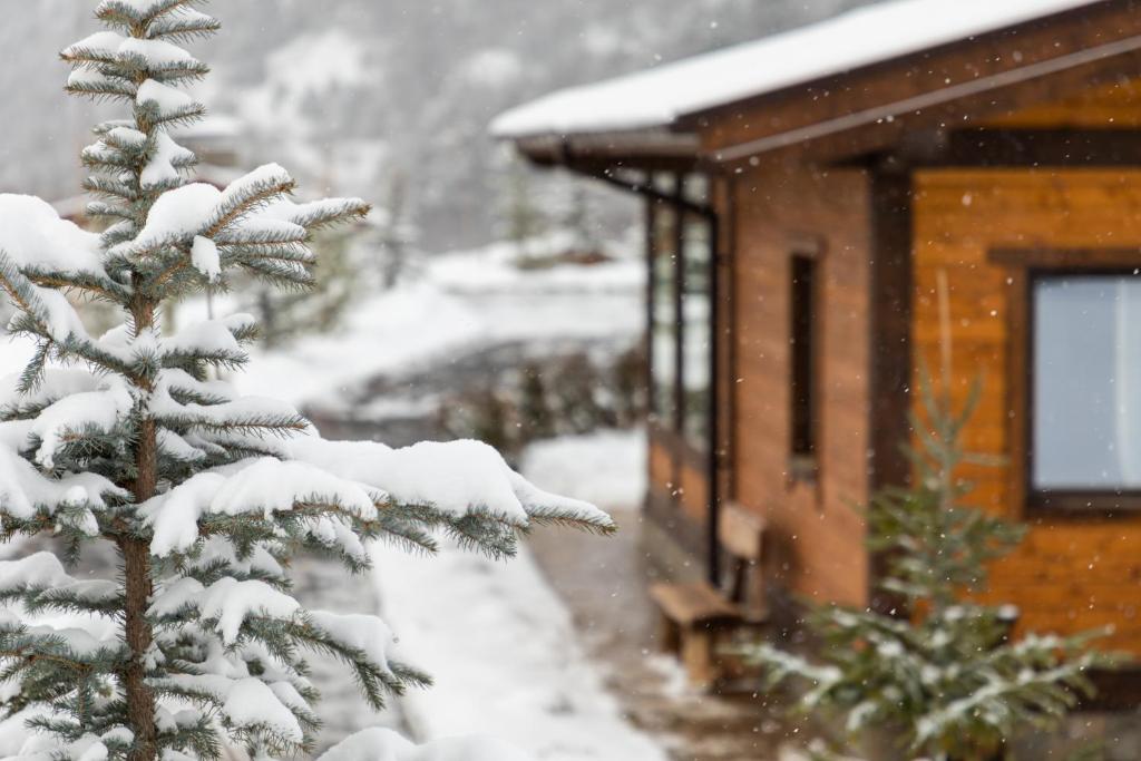 Le Chalet by Amirsoy photo 2