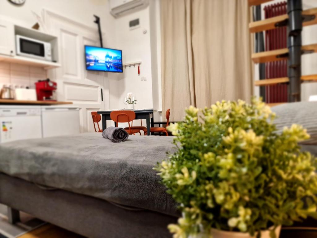 Bercsényi apartments - close to the Rudas Thermal Bath - Tap to explore photos