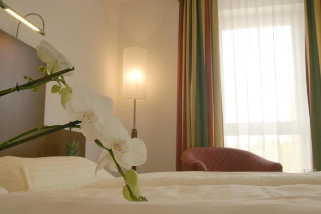 Одноместный (Стандартный одноместный номер), Hotel Via Roma