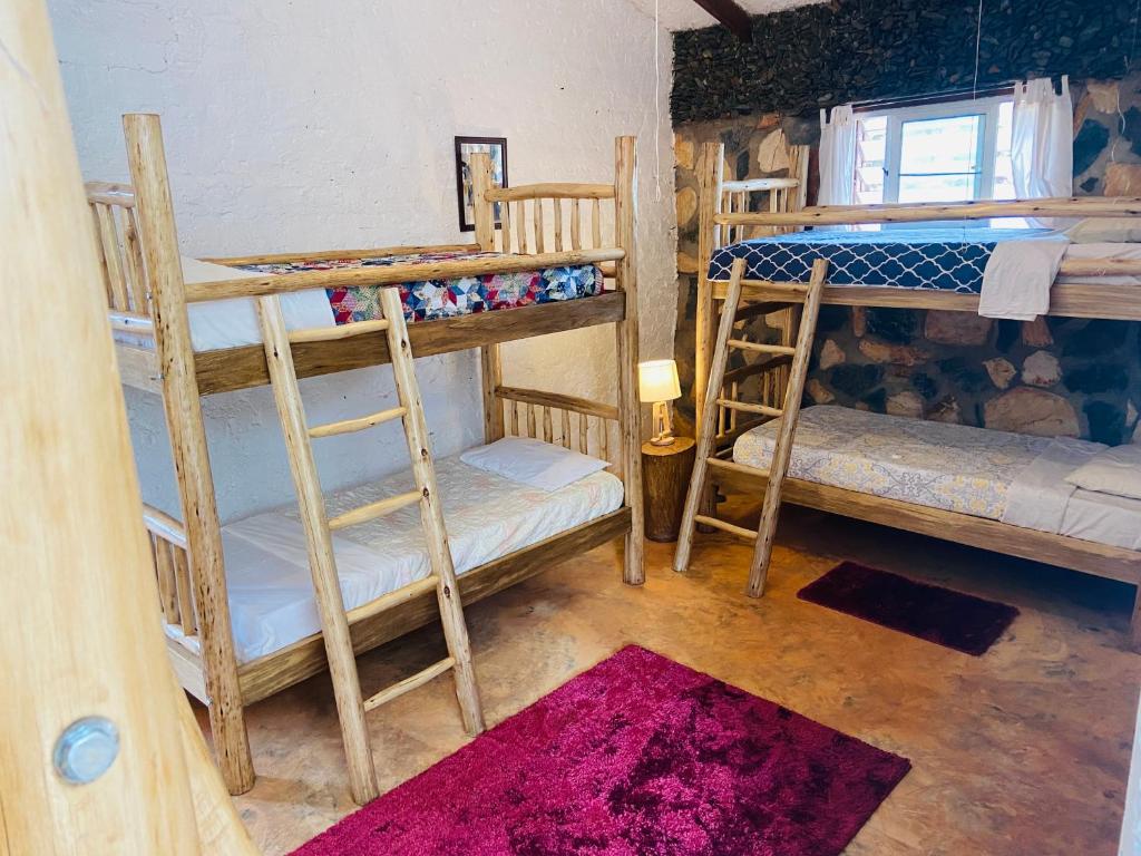 Home OnThe Nile Dorm photo 2