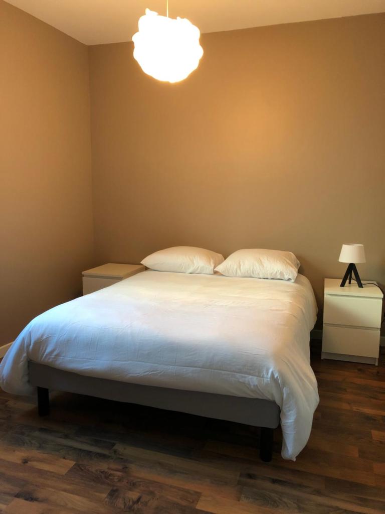 Appartement de 110m2 au centre de Cusset photo 2