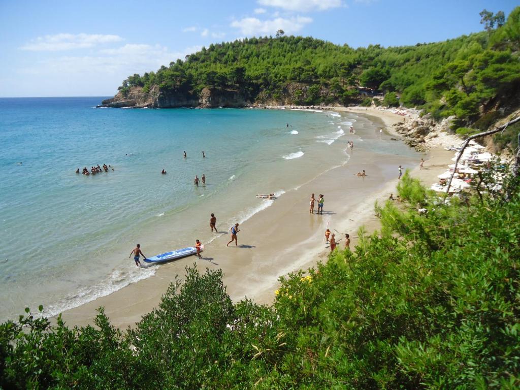 Alonissos Beach Bungalows And Suites Hotel photo 1
