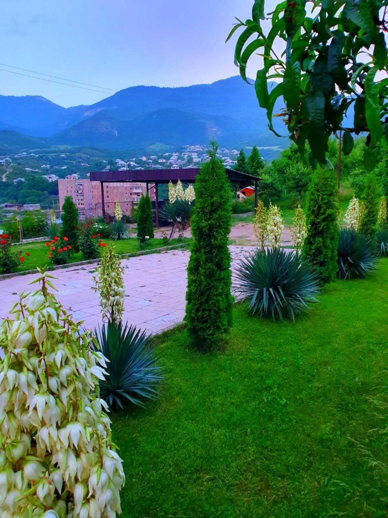 Guest house Ijevan's Garden photo 2