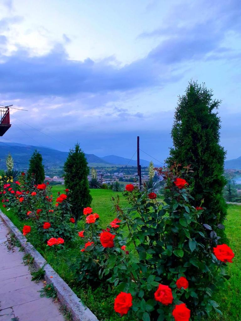 Guest house Ijevan's Garden photo 3