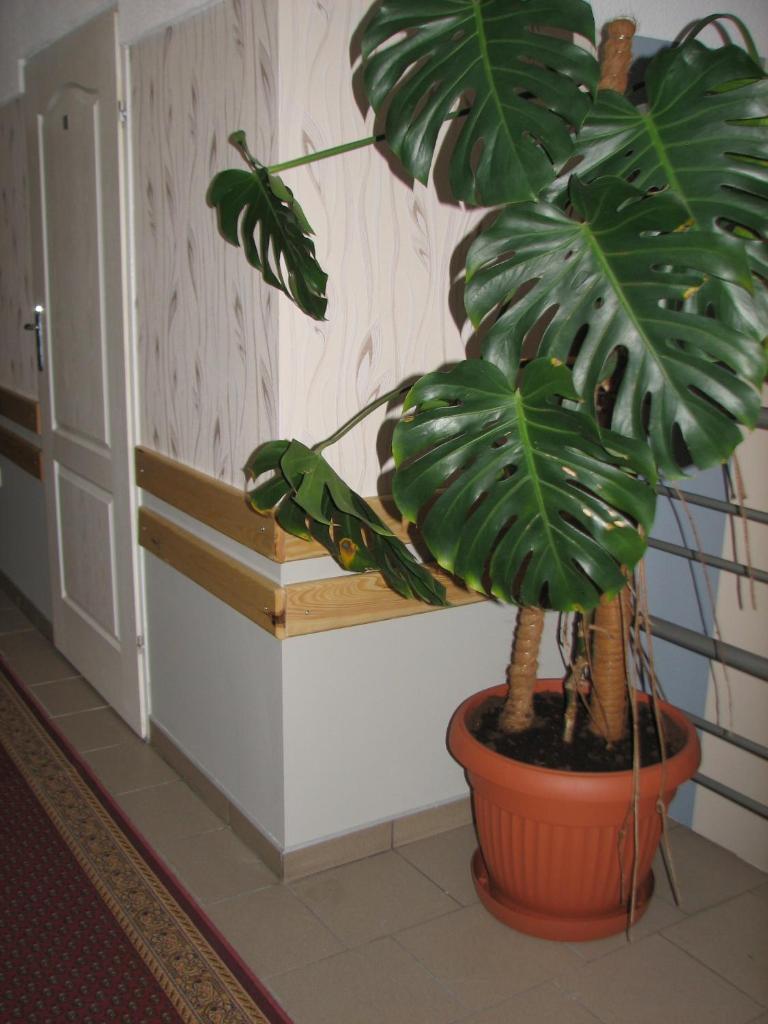 Zajazd Markowski photo 3